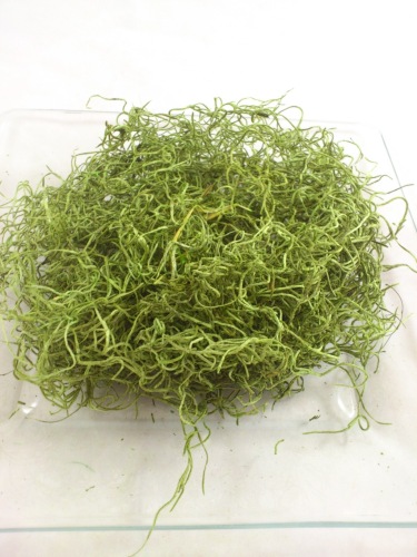 Tilancia moss 25 gr. applegreen